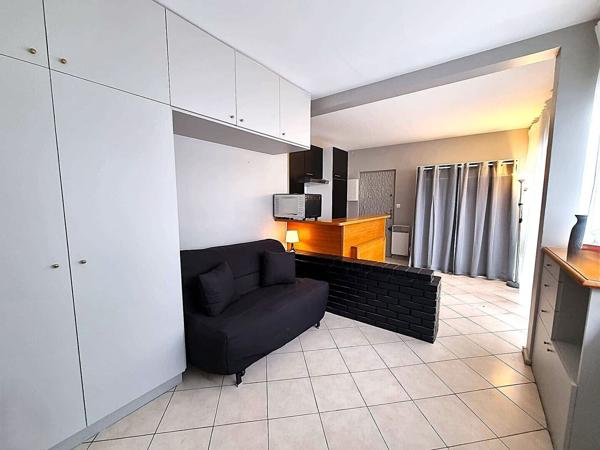 Grand studio avec vaste terrasse