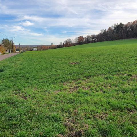 Superbe terrain constructible de 700 m²