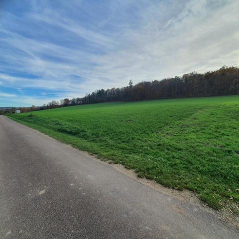 Superbe terrain constructible de 700 m²