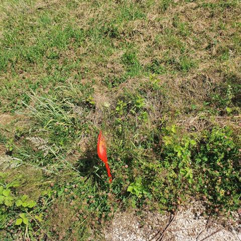 Superbe terrain constructible de 700 m²