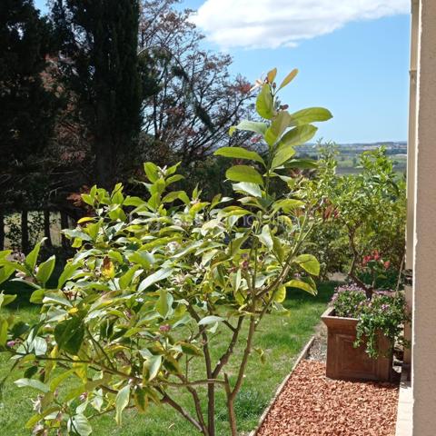 Maison provencale de 150 m²