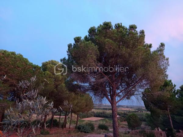 Maison provencale de 150 m²