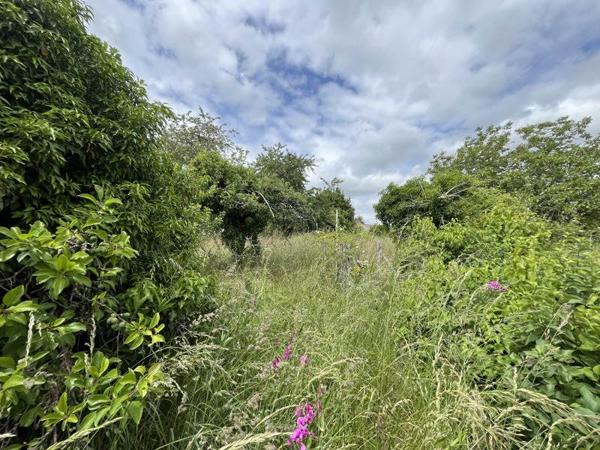 Maison à vendre |  Châteauneuf-sur-Cher |  2 pièces | 73 m²