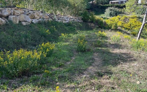 Terrain à vendre    Mandelieu-la-Napoule