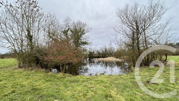 Maison à vendre  6 pièces - 176,50 m2 BONCHAMP LES LAVAL - 53