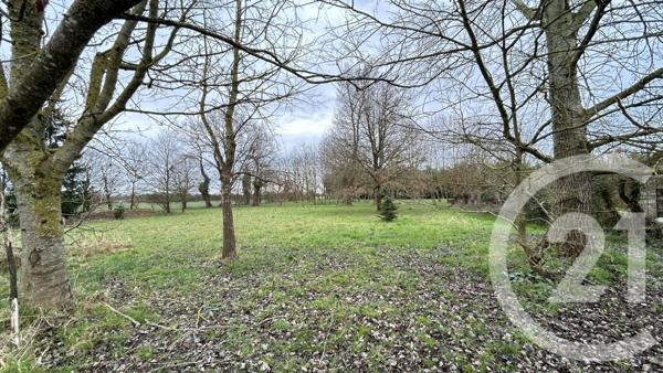 Maison à vendre  6 pièces - 176,50 m2 BONCHAMP LES LAVAL - 53