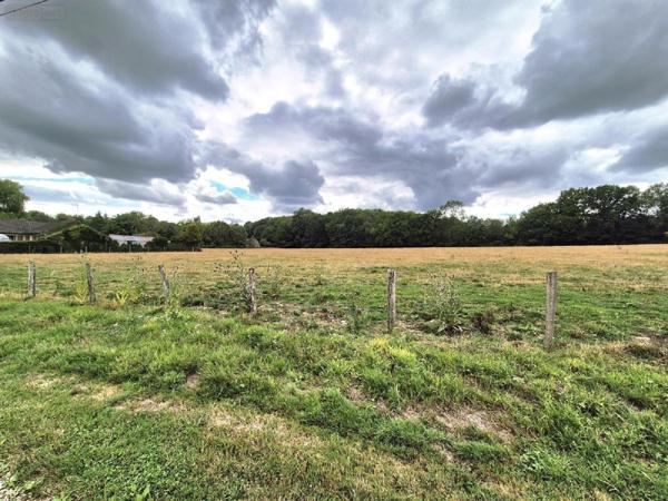 Terrain à Batir à vendre à La Loge-aux-Chèvres dans l'Aube (10140), ref : 10043-341