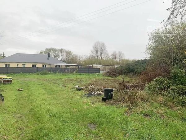 RARE à AGON COUTAINVILLE