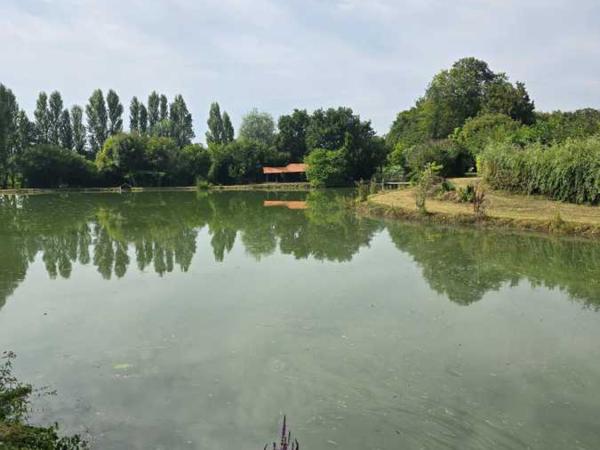 Vente / Terrain de loisirs