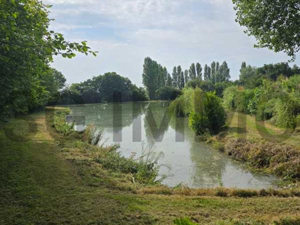 Vente / Terrain de loisirs