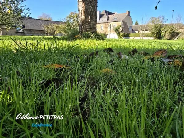 Terrain constructible 465m² GAEL