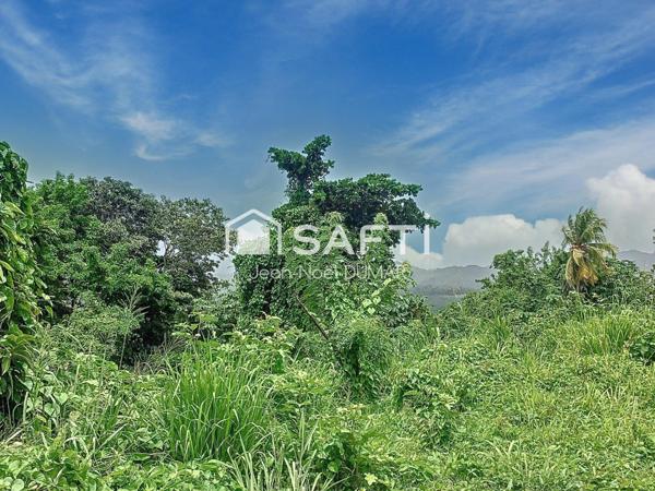 Terrain en pente de 1410 m²