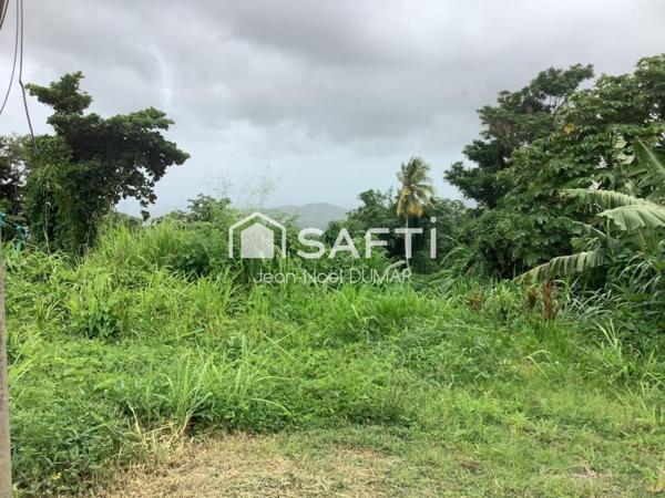 Terrain en pente de 1410 m²