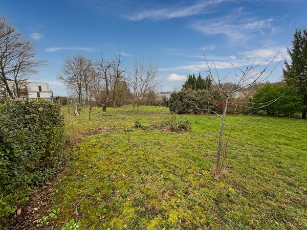 Terrain Saulx Les Chartreux 1054 m2