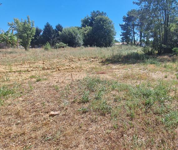 Terrain Talmont Saint Hilaire