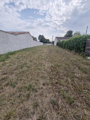Terrain 333 m2 17132 Meschers Meschers-sur-Gironde (17132)