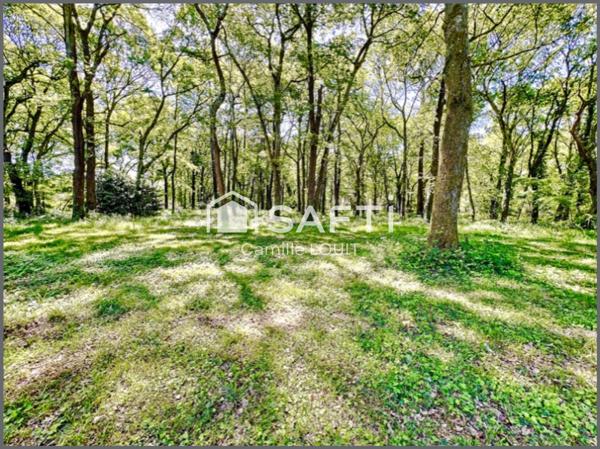 Un parc de 2 hectares dans la Métropole Bordelaise