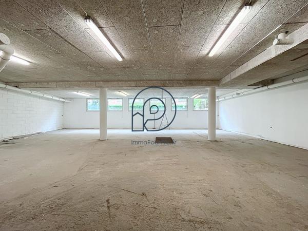 VIEUX LILLE – Local professionnel 370 m² avec vitrines et parkings | Opportunité rare