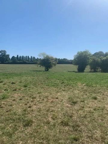 Maison à rénover avec dépendance + bois