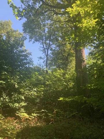 Maison à rénover avec dépendance + bois