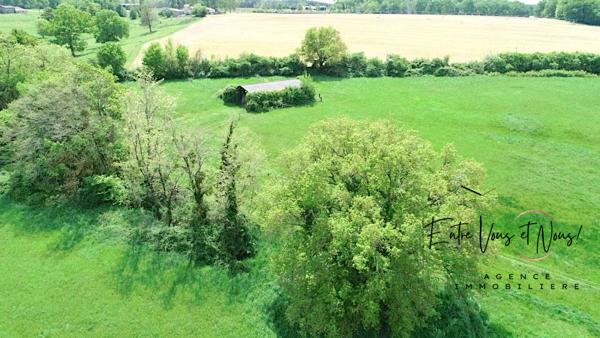 Propriété de charme, 376m2, 6ch sur 9ha à Bazas!