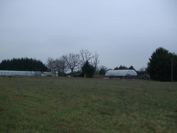 Terrain agricole à Saint Barthelemy D Anjou