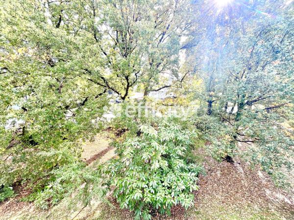 Appartement 2 pièces - 40 m² Exclusivité efficity