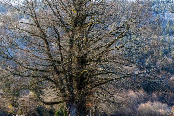 Terrain de  865 m²  viabilisé avec belle vue dégagée