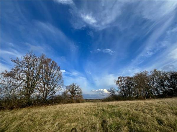 Terrain à vendre |  Causse-et-Diège |  9931 m²
