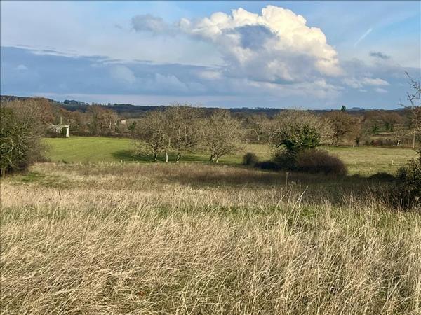 Terrain à vendre |  Causse-et-Diège |  9931 m²