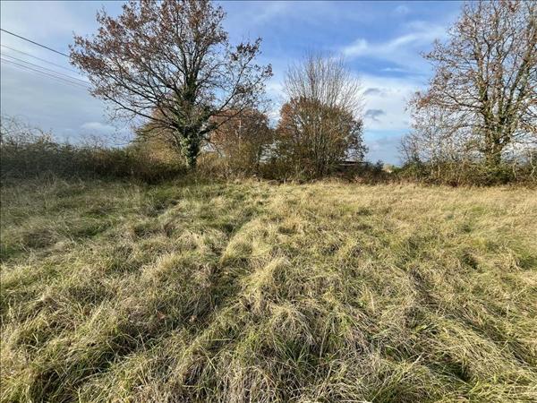 Terrain à vendre |  Causse-et-Diège |  9931 m²