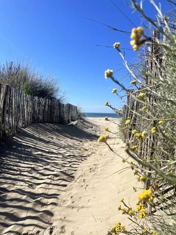 APPARTEMENT ÉTAT NEUF VUE MER T3, TERRASSE, PARKING LA GRANDE MOTTE