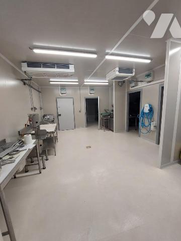 Un local professionnel d'environ 420 m² (équipé en alimentaire-froid)