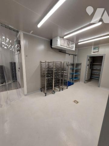 Un local professionnel d'environ 420 m² (équipé en alimentaire-froid)