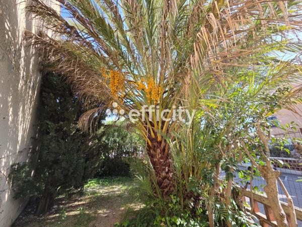 Appartement 4 pièces - 67 m² Exclusivité