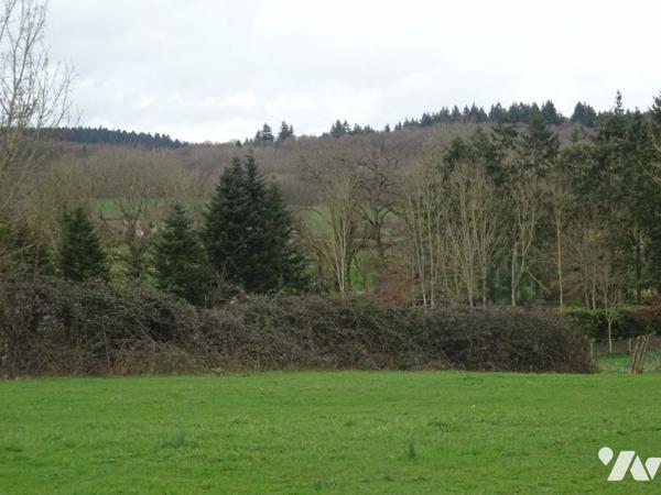 Vente Terrain â bâtir