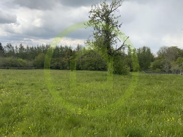 Terrain à PIONNAT (23140)