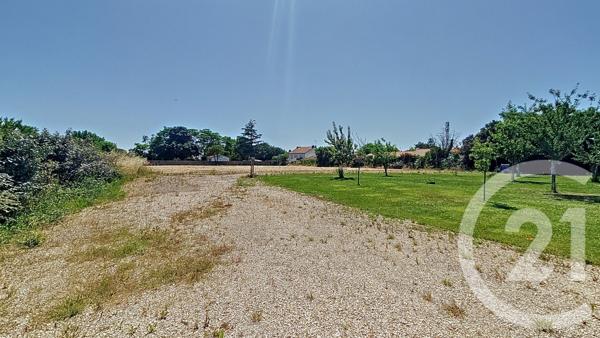 Terrain à vendre  2500 m2 CHAMPAGNE LES MARAIS - 85