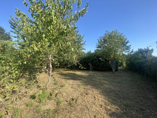 Vente / Terrain constructible