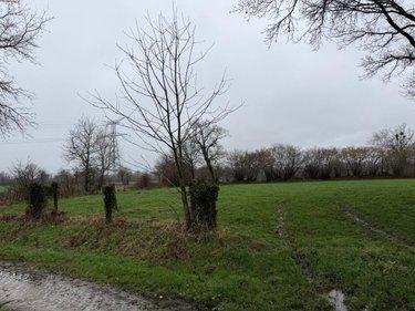 Terrain de loisirs - Bois - Etang à vendre à Saint-Aubin-des-Bois dans le Calvados (14380), ref : 50038-2709