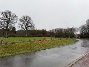 Terrain de loisirs - Bois - Etang à vendre à Saint-Aubin-des-Bois dans le Calvados (14380), ref : 50038-2709