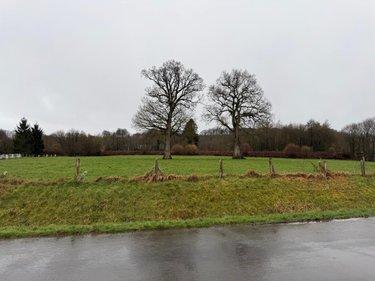 Terrain de loisirs - Bois - Etang à vendre à Saint-Aubin-des-Bois dans le Calvados (14380), ref : 50038-2709