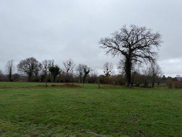 Terrain de loisirs - Bois - Etang à vendre à Saint-Aubin-des-Bois dans le Calvados (14380), ref : 50038-2709