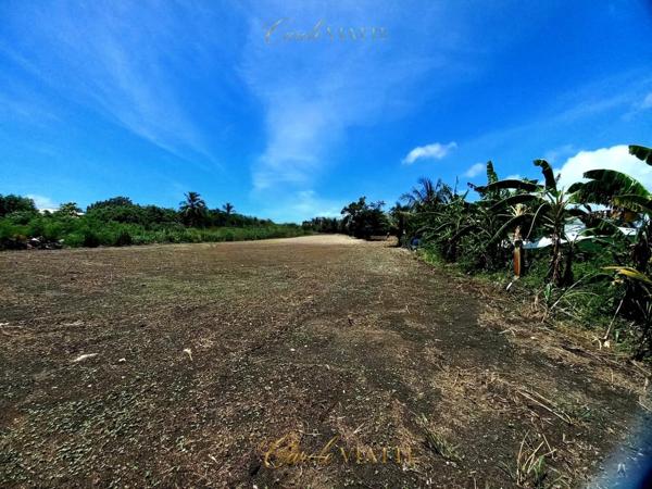 Terrain plat constructible + 2000M2, proche mer à vendre  SAINT FRANCOIS (971)