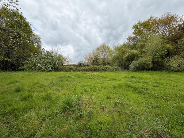 Exclusivité à Rochefort, zone Intermarché : Terrain constructible en zone commerciale/artisanale 1950 m2