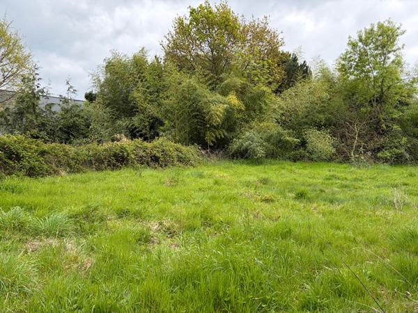 Exclusivité à Rochefort, zone Intermarché : Terrain constructible en zone commerciale/artisanale 1950 m2