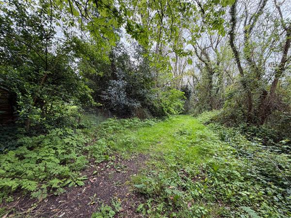 Exclusivité à Rochefort, zone Intermarché : Terrain constructible en zone commerciale/artisanale 1950 m2