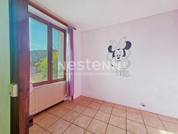 Maison à rénover à BAS EN BASSET sur terrain clos de mur 470 m².