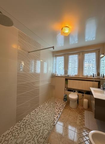 Maison jumelée avec terrasse extérieur entièrement aménagé et garage double – Audun-le-Tiche (57390)