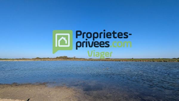 VIAGER libre :BOURCEFRANC LE CHAPUS-ILE D'OLERON